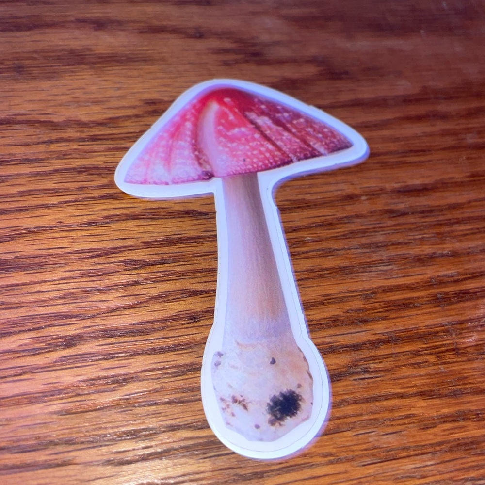 Colorful 13 Mushroom Sticker Set - Picture 6 of 14